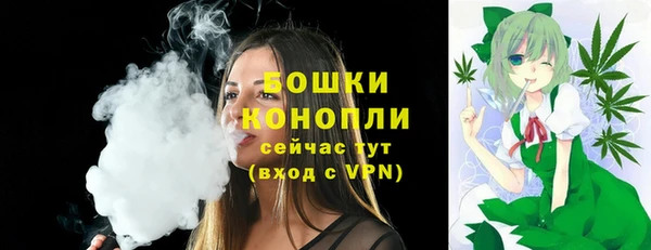 соль ск Белокуриха