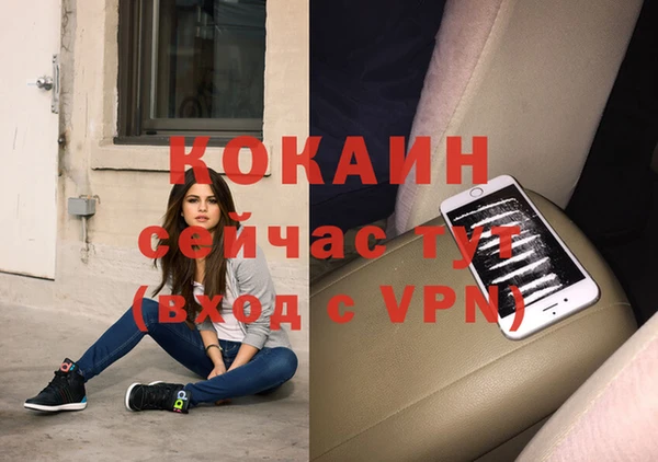 соль ск Белокуриха
