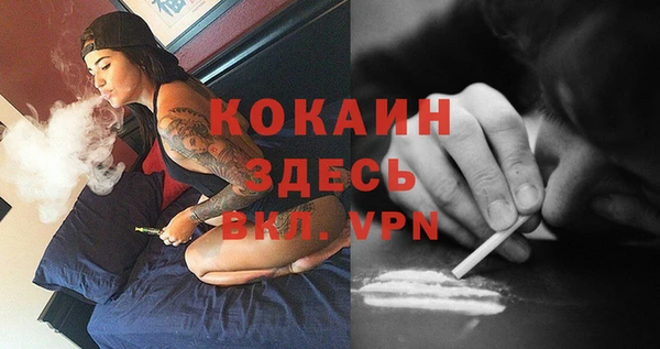соль ск Белокуриха