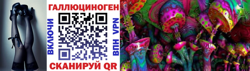 Псилоцибиновые грибы Cubensis  hydra ссылки  Торжок 
